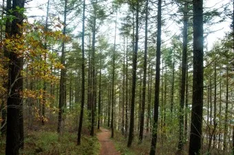 걷기좋은 숲길 50 서울 전남 경북_3