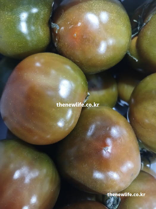 흑토마토 효능의 안토시아닌이 눈 건강을 보호하는 모습을 보여주는 실사진