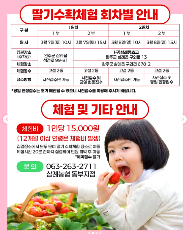 삼례 딸기대축제