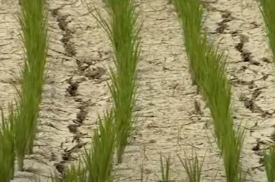 특별재난지역 선포 기준과 혜택 재난지원금 신청 방법