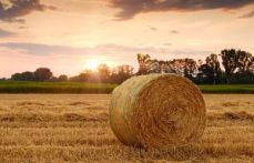 정년없는 직업 손해평가사 