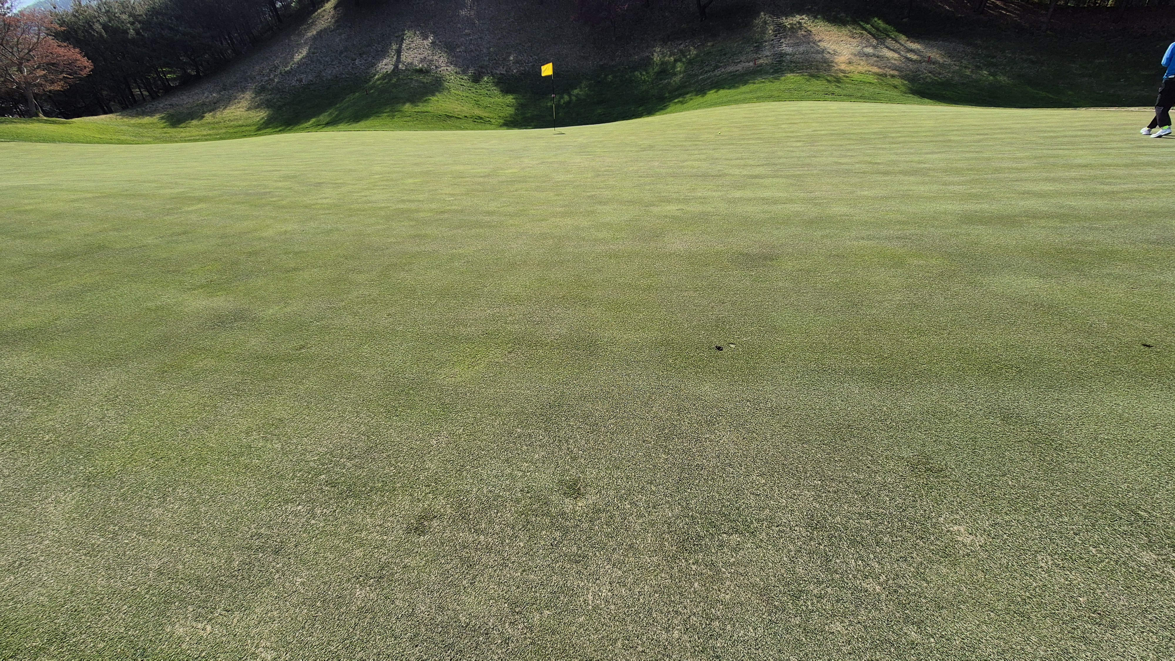 소노펠리체cc 비발디파크 웨스트