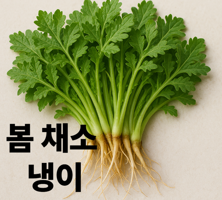 쌉싸름한 풍미와 아삭한 식감의 봄철 냉이 효능 영양성분 손질하기