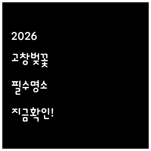 2026년 고창 벚꽃 구경하기 좋은 ..
