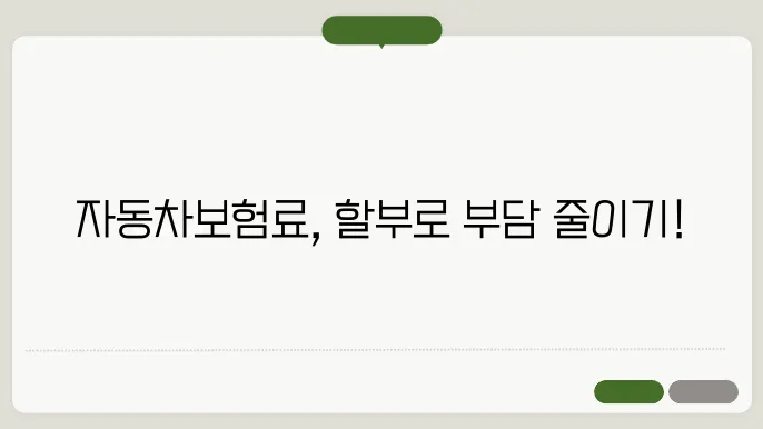자동차보험료 할부