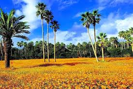 8월 제주도 가볼만한곳10곳