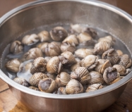 꼬막 해감 쉽게 하는 법