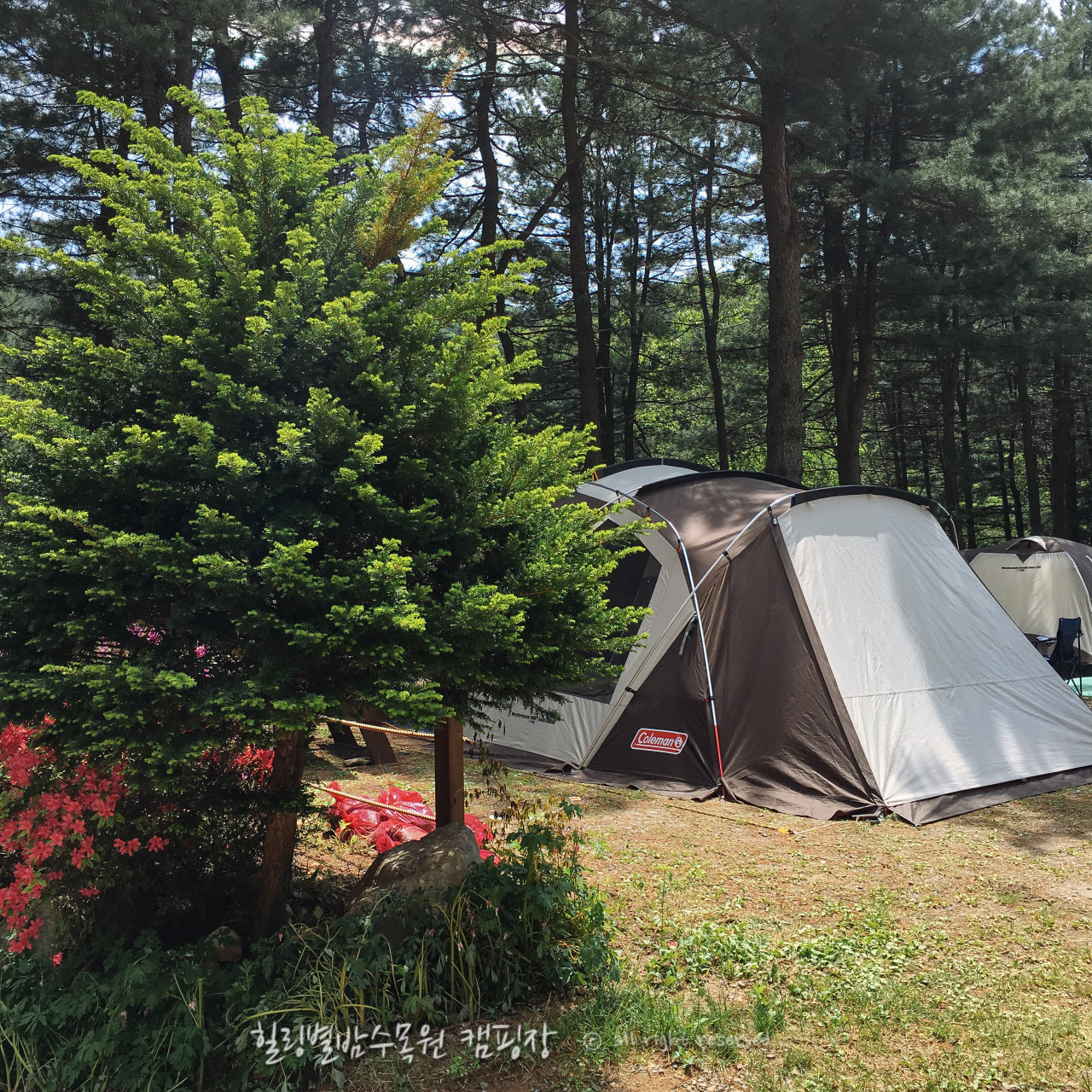 힐링별밤수목원캠핑장_외부