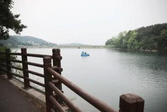 춘천 호수 산책 소양강 스카이워크 닭갈비 동선_23