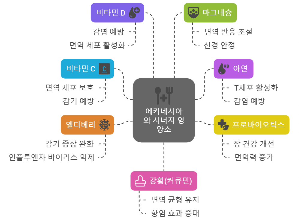 에키네시아와 함께 섭취하면 좋은 영양소