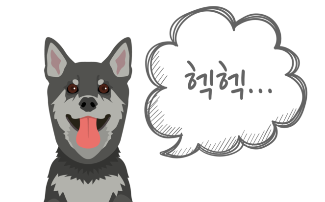 강아지가 헥헥거려요
