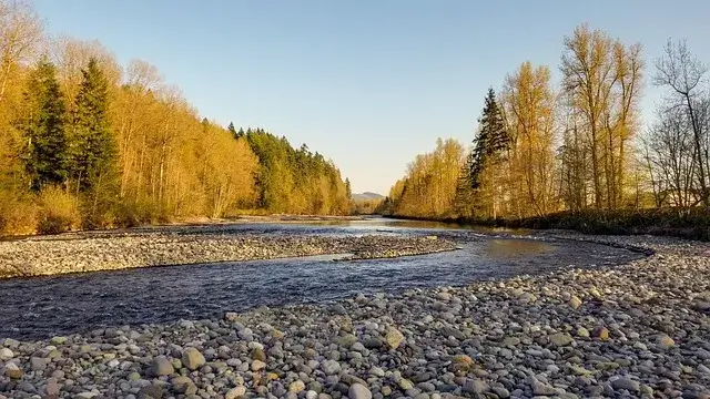 형제자매 갈등의 진짜 원인