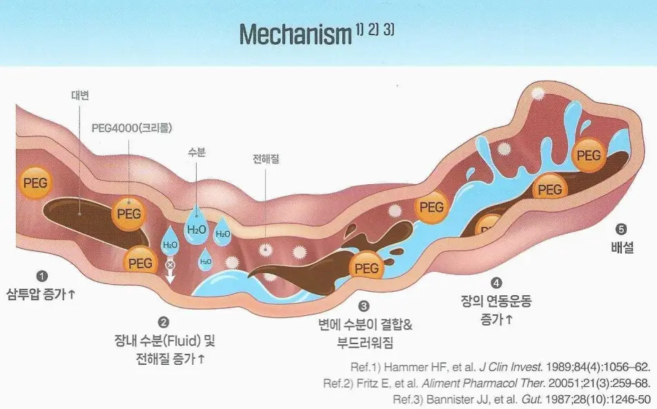 폴리에틸렌글리콜-4000-작용원리