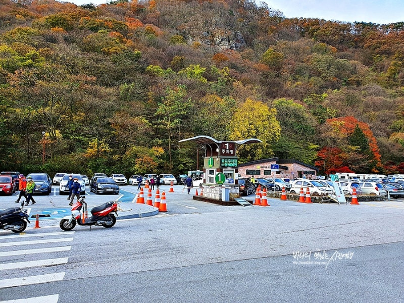 내장산 주차장