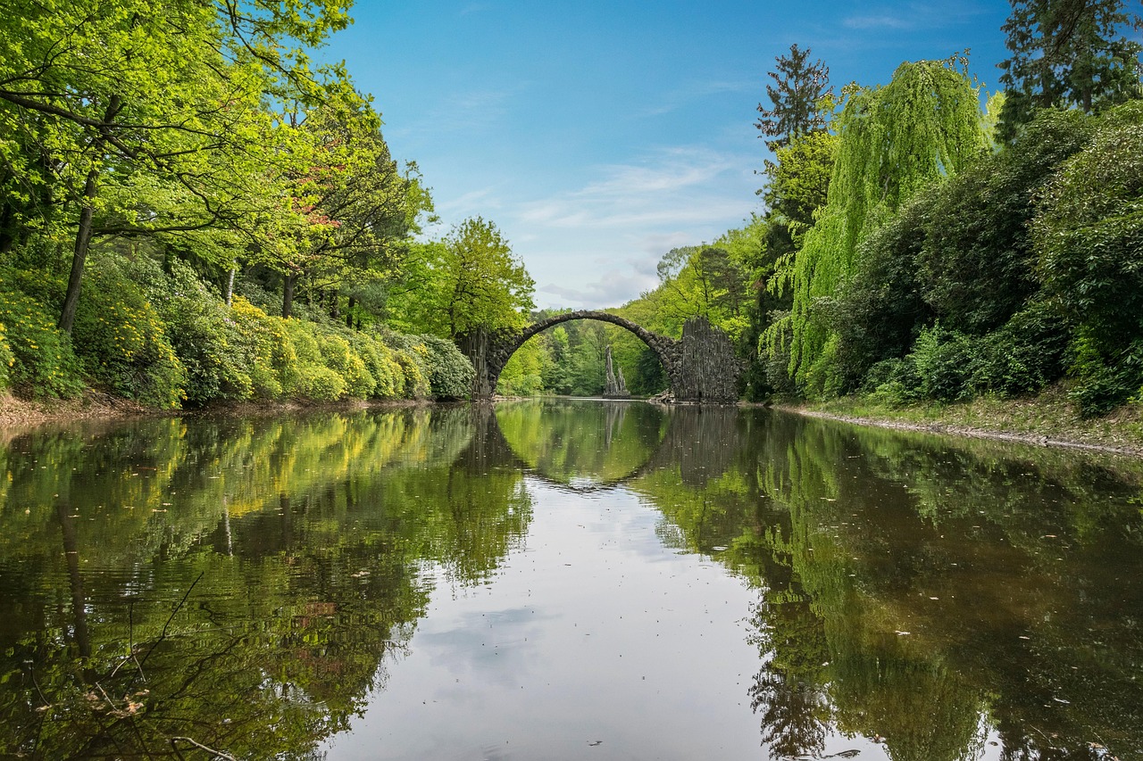 호수와 나무가 어우러져있는 자연경관