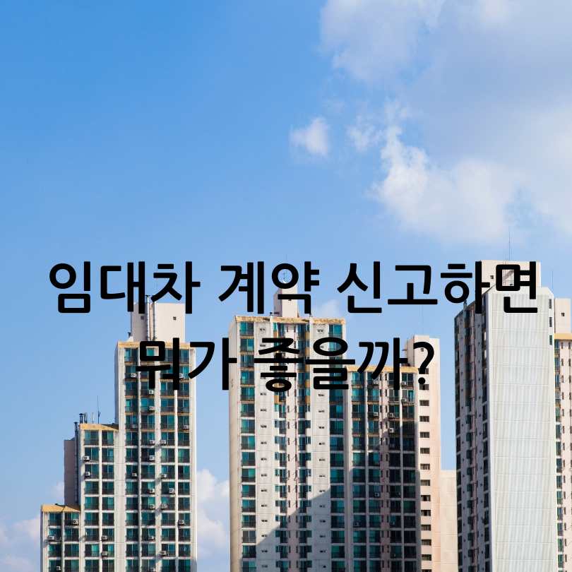 주택 임대차 계약 신고