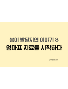 자폐엄마표치료
