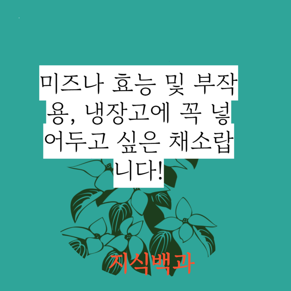미즈나 효능 및 부작용, 냉장고에 꼭 넣어두고 싶은 채소랍니다!