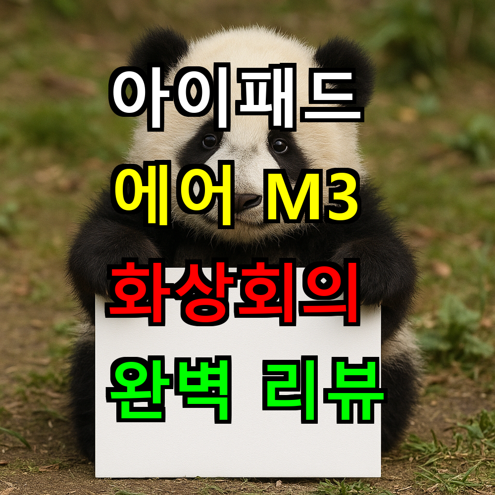 아이패드 에어 M3 화상회의 화질은 정말 좋을까? 실사용자 완벽 리뷰