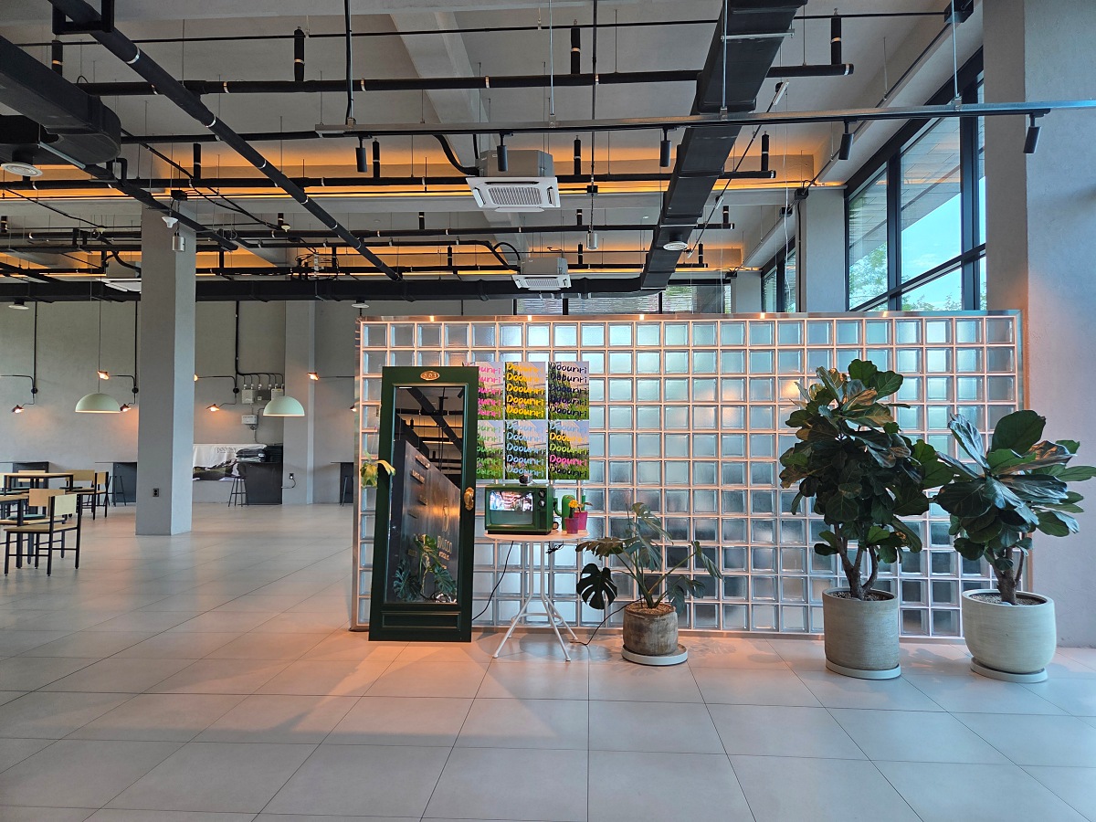 강화도 대형카페 두운리: 목수국, 온실 정원까지 맛과 분위기 모두 잡은 강화도 갈만한곳