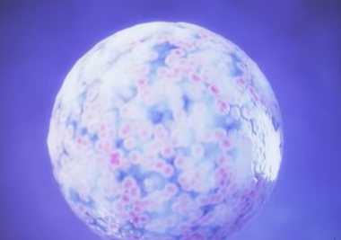 입술 수포 원인