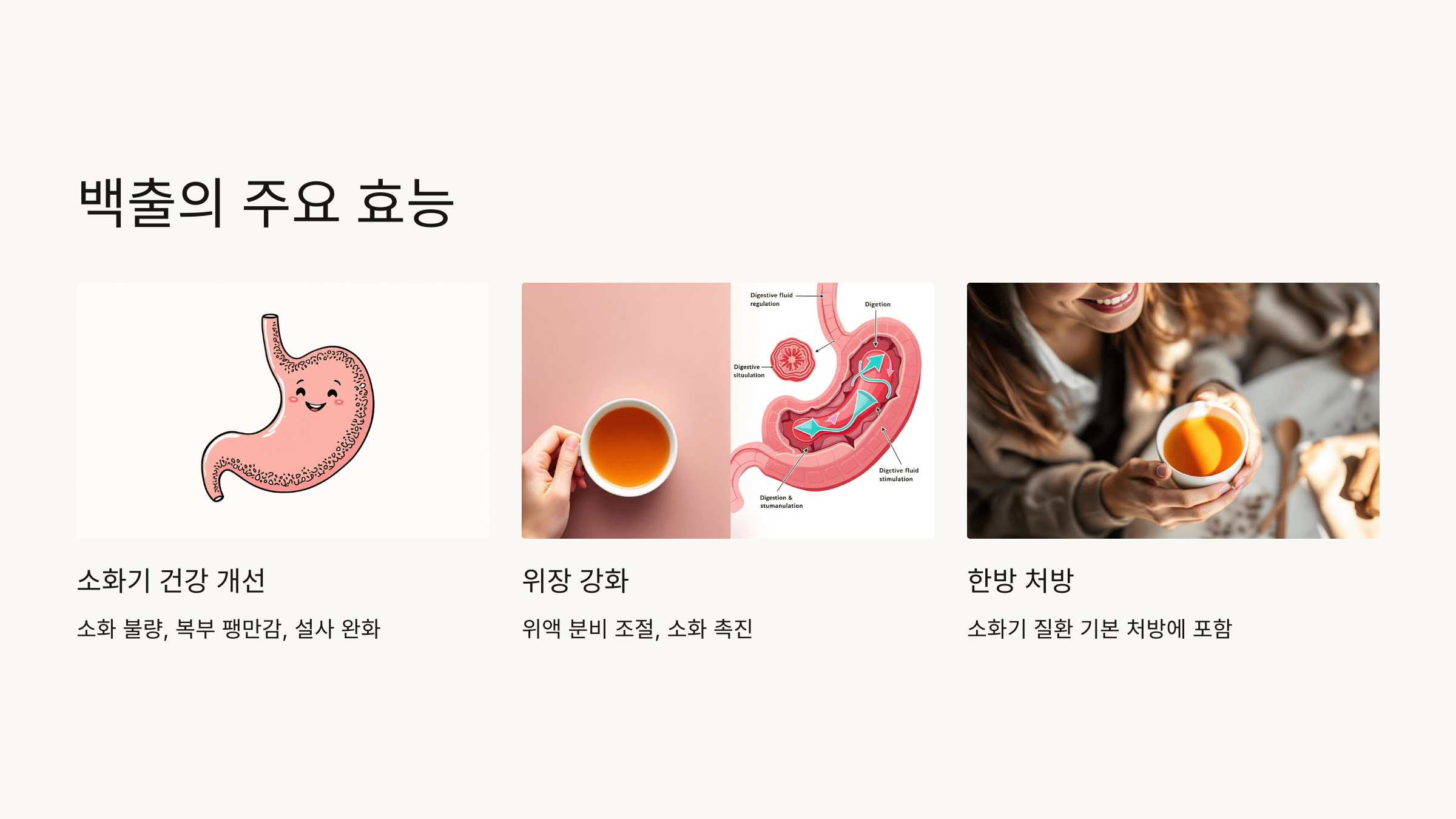 백출과 관련된 사진입니다.