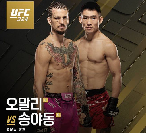 UFC 324