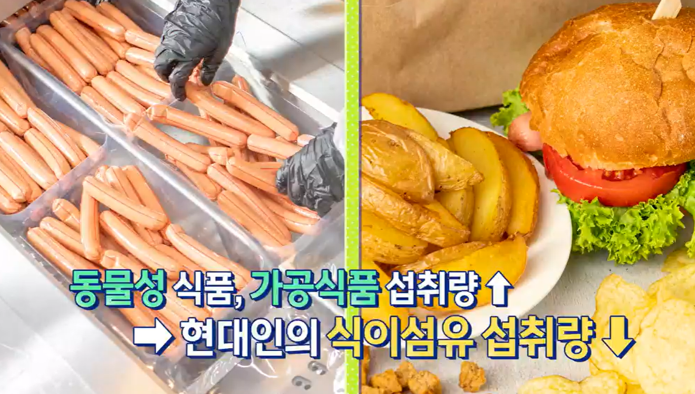 아틱오트베타글루칸 효능