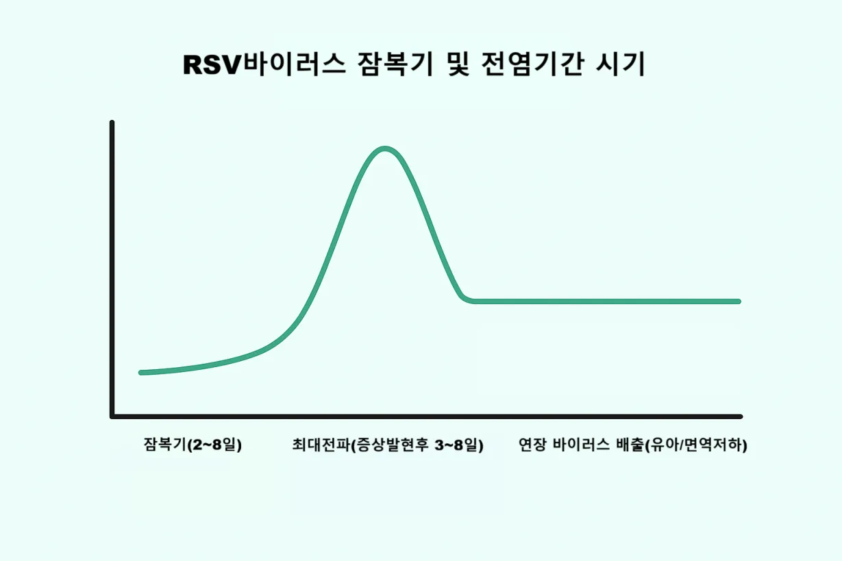 RSV바이러스 잠복기 및 전염기간 시기를 보여주는 깔끔한 그래프 이미지.