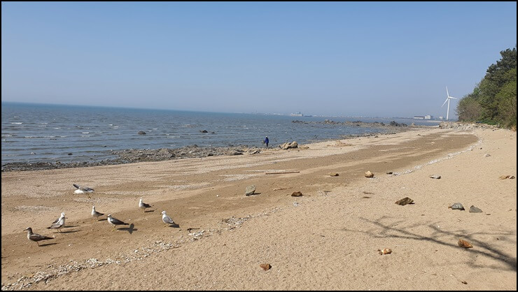 물이-차오르고-있는-해변