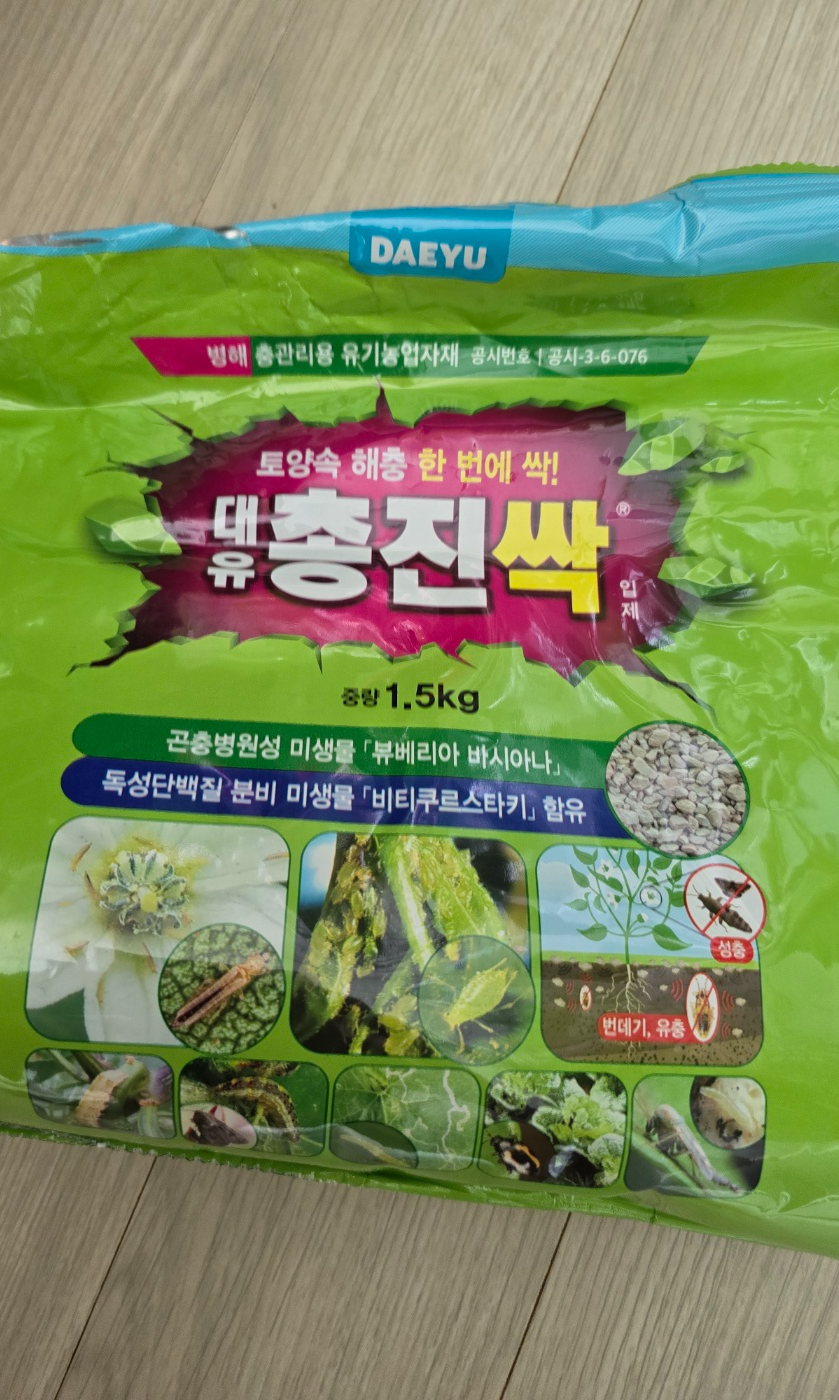 총진싹 입제형