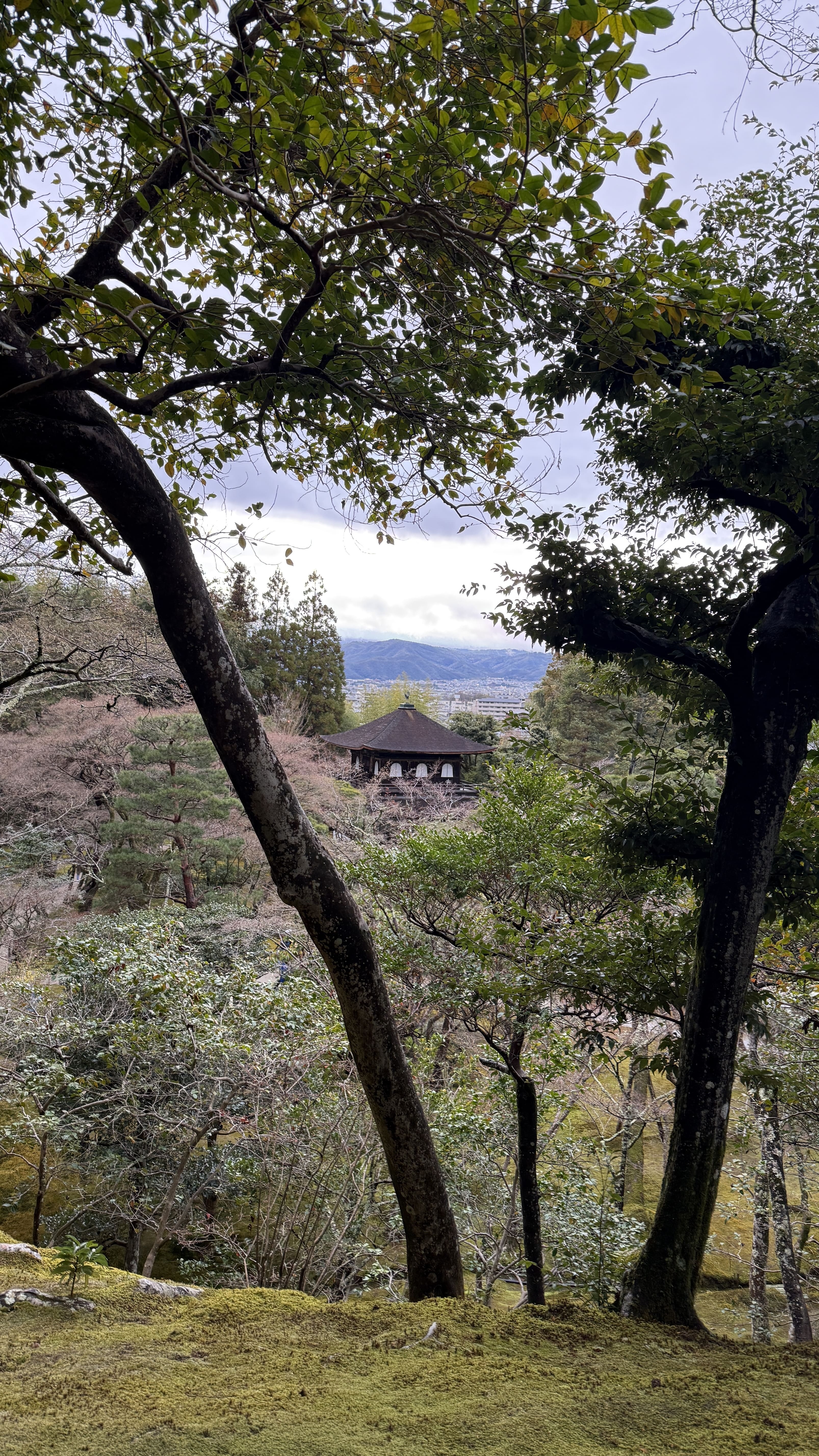 교토-꼭-가봐야-할-곳-교토-은각사-긴카쿠지-조용한-산책-코스-추천