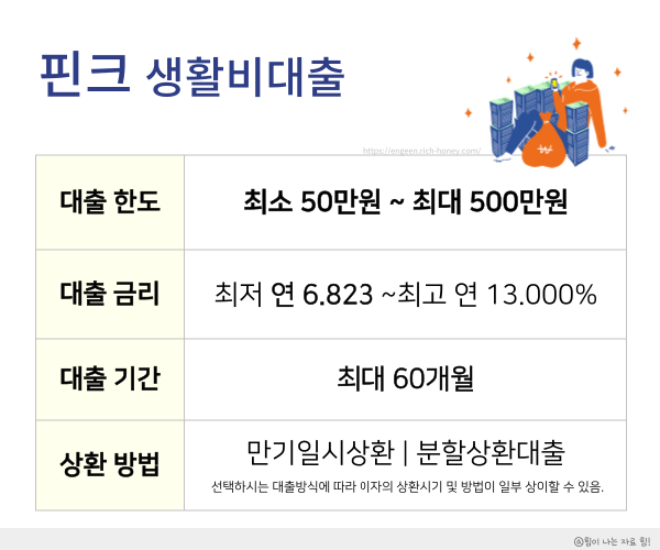 비상금대출