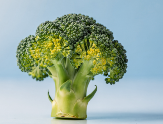 손에 쥐가 나는 이유