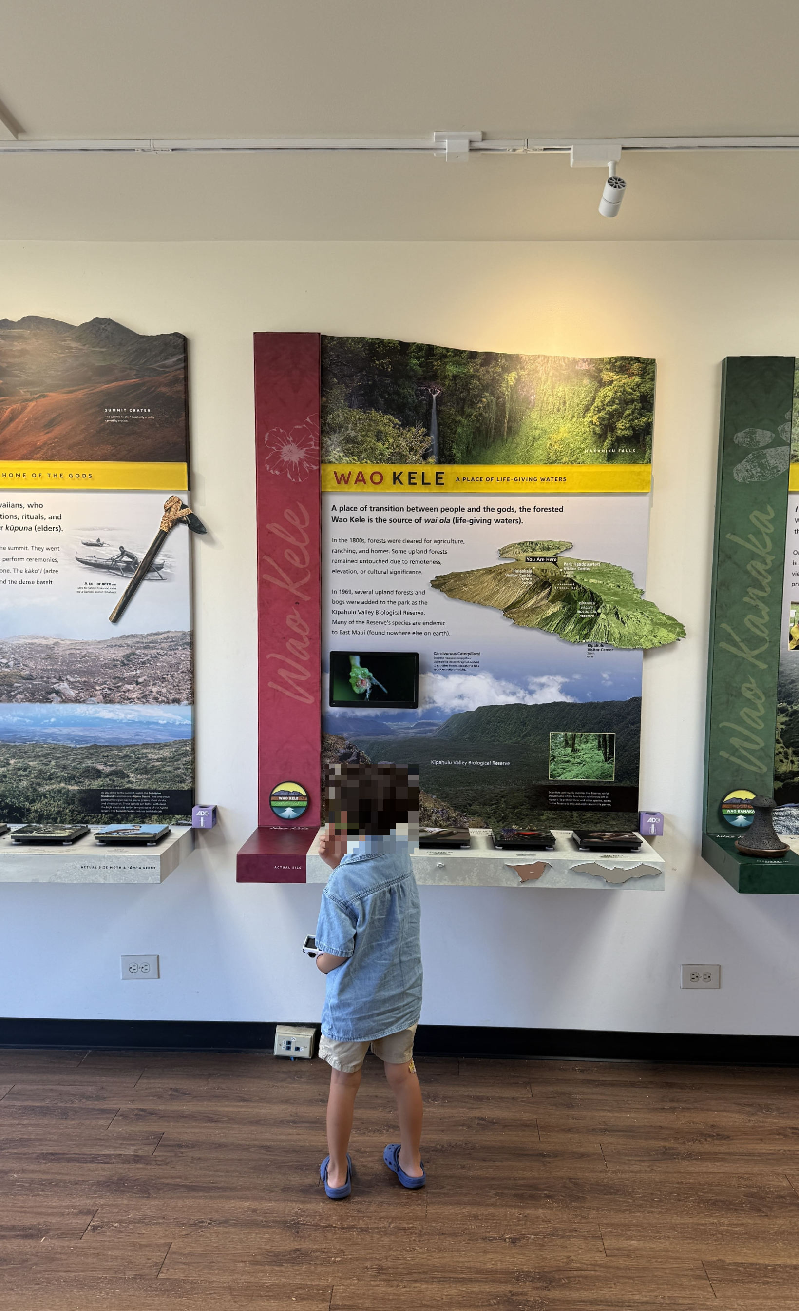 마우이 할레아칼라 국립공원