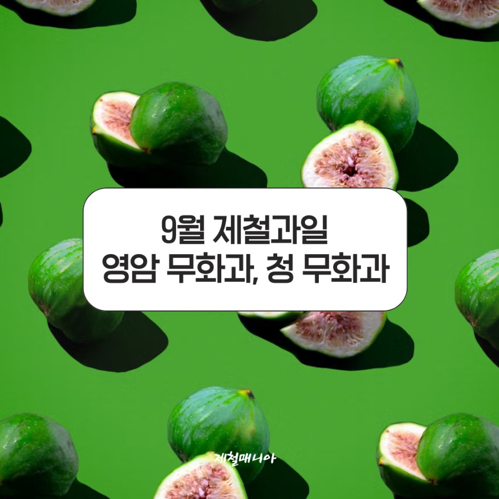 청무화과