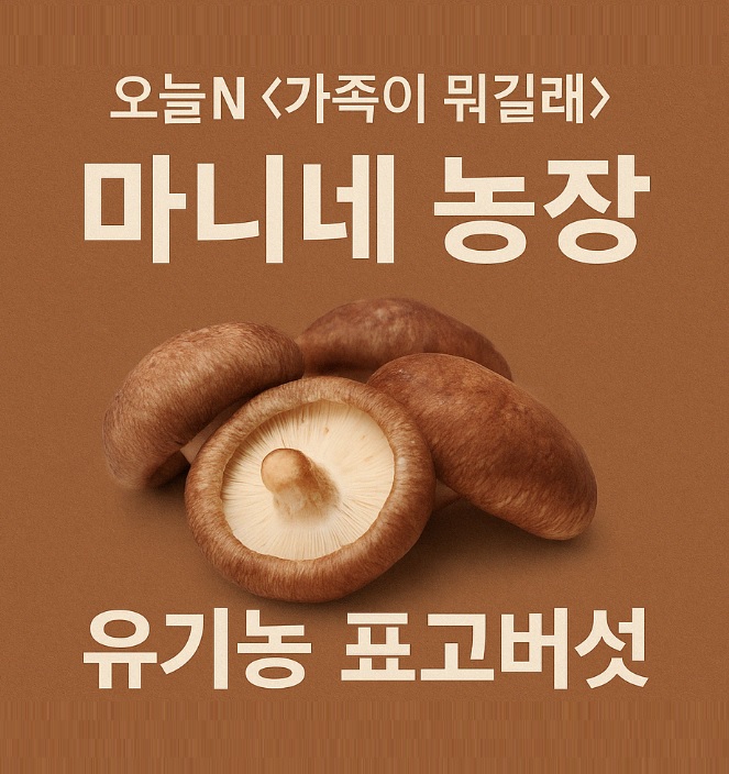 오늘N 가족이 뭐길래 솔향 가득 자연이 키운 마니네농장 유기농표고버섯
