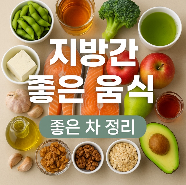 지방간 예방과 개선에 좋은 음식 10가지와 간 건강에 도움 되는 차 8가지를 정리한 대표 이미지