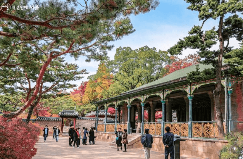 서울 덕수궁 돌담길