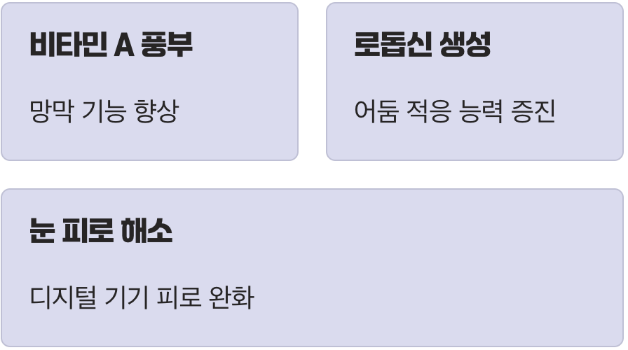 3. 눈이 침침할 때, 천연 눈 영양제