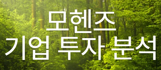 모헨즈 기업 투자 분석