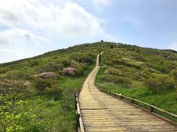 지리산 노고단 탐방예약