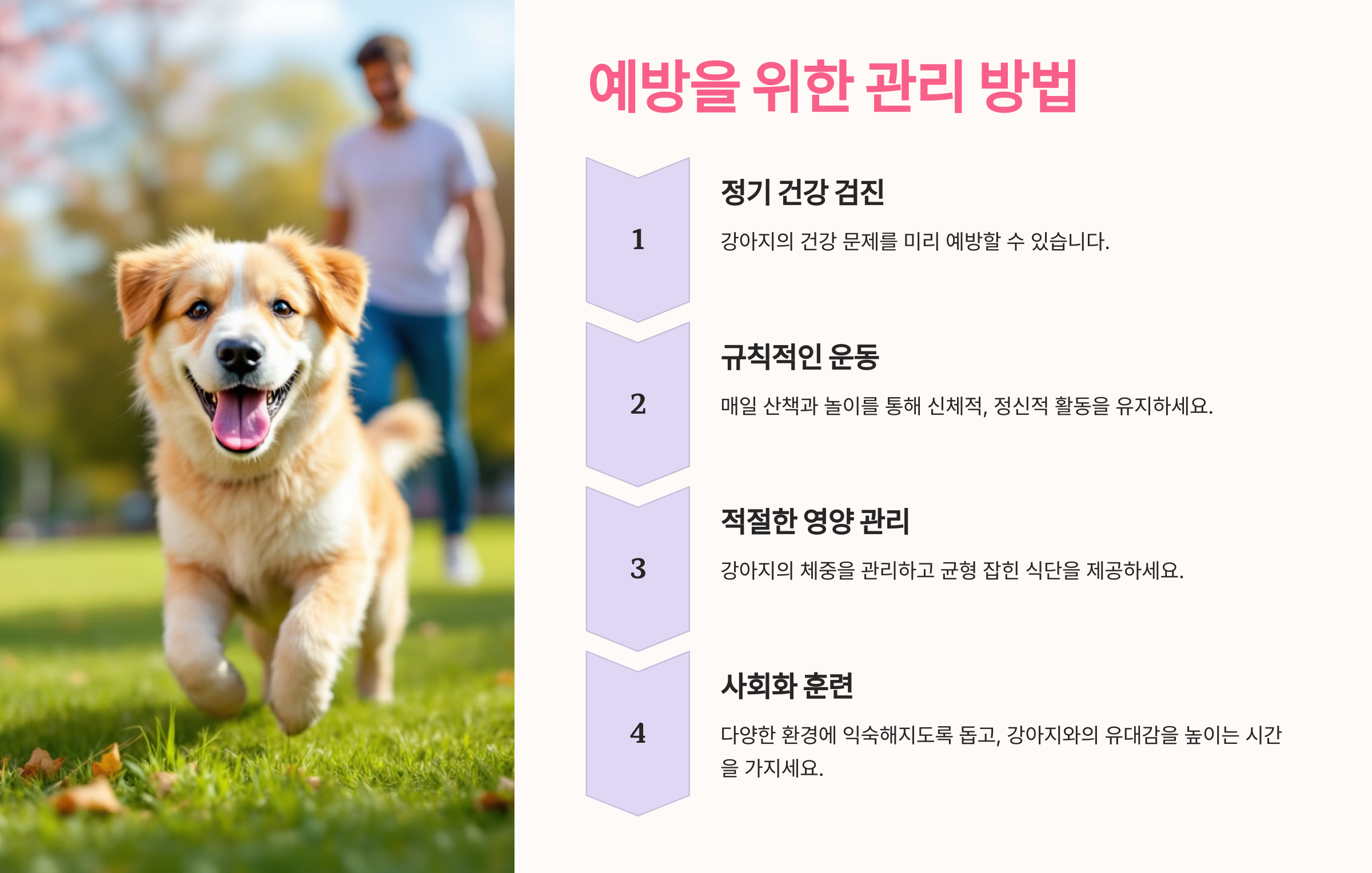 예방을 위한 관리 방법