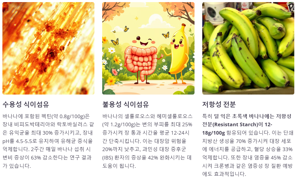 장건강 개선 변비예방