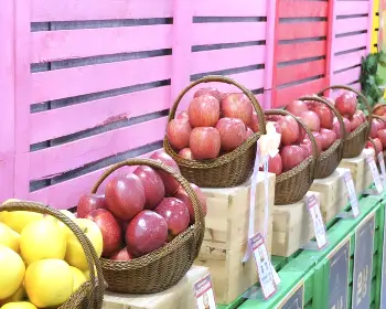 문경 사과축제_35