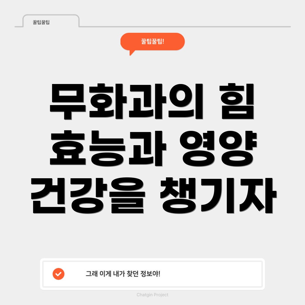 무화과 효능
