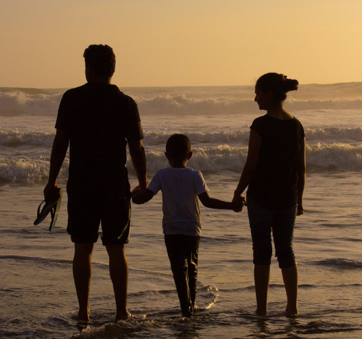 영화 &lsquo;미나리&rsquo; &ndash; 이주, 가족, 뿌리내림에 관한 서정적 초상