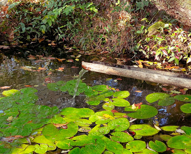 특색 있고 아름다운 민간 정원 30선 추천 여행 - 16. 구례 쌍산재