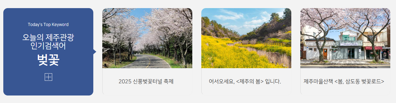 제주도 vs 울릉도, 어디로 가야 할까?