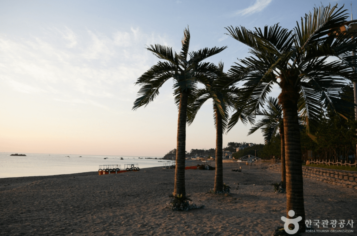 오류 해수욕장 (경주)